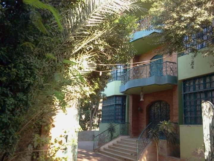 Richard Pyramids Inn Hotel Kafrat al Jabal Exterior foto